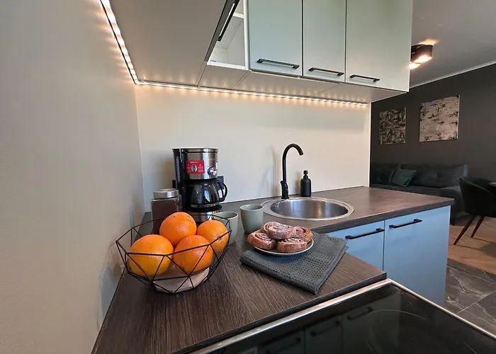 Center In Daire Pärnu